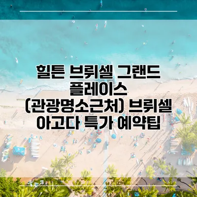 힐튼 브뤼셀 그랜드 플레이스 (관광명소근처) 브뤼셀 아고다 특가 예약팁