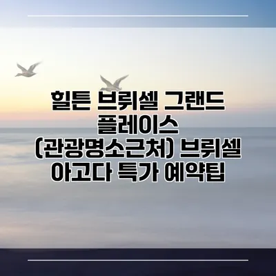 힐튼 브뤼셀 그랜드 플레이스 (관광명소근처) 브뤼셀 아고다 특가 예약팁