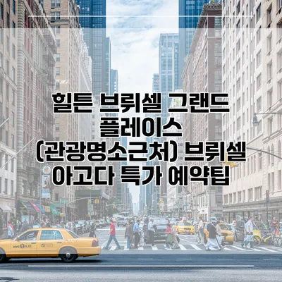 힐튼 브뤼셀 그랜드 플레이스 (관광명소근처) 브뤼셀 아고다 특가 예약팁