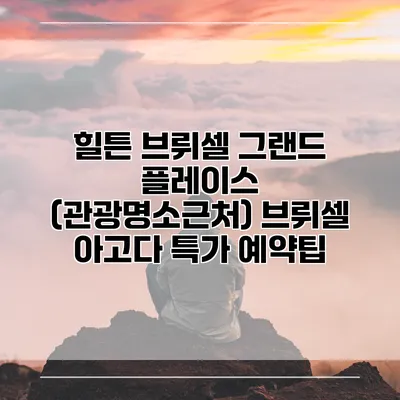 힐튼 브뤼셀 그랜드 플레이스 (관광명소근처) 브뤼셀 아고다 특가 예약팁