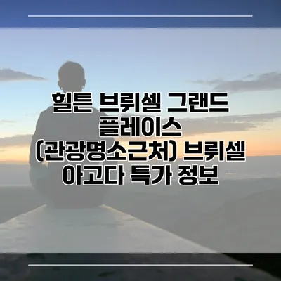 힐튼 브뤼셀 그랜드 플레이스 (관광명소근처) 브뤼셀 아고다 특가 정보
