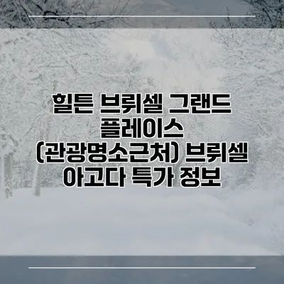 힐튼 브뤼셀 그랜드 플레이스 (관광명소근처) 브뤼셀 아고다 특가 정보