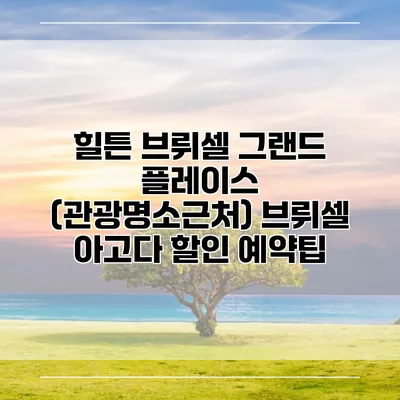 힐튼 브뤼셀 그랜드 플레이스 (관광명소근처) 브뤼셀 아고다 할인 예약팁