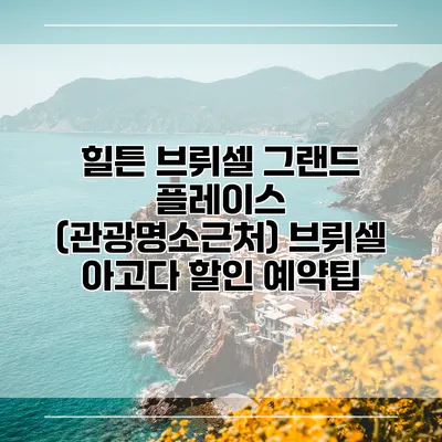 힐튼 브뤼셀 그랜드 플레이스 (관광명소근처) 브뤼셀 아고다 할인 예약팁