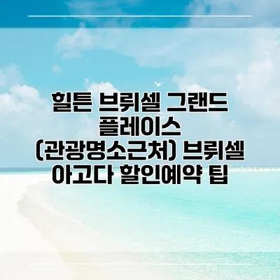 힐튼 브뤼셀 그랜드 플레이스 (관광명소근처) 브뤼셀 아고다 할인예약 팁