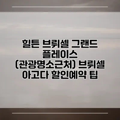 힐튼 브뤼셀 그랜드 플레이스 (관광명소근처) 브뤼셀 아고다 할인예약 팁