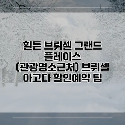 힐튼 브뤼셀 그랜드 플레이스 (관광명소근처) 브뤼셀 아고다 할인예약 팁