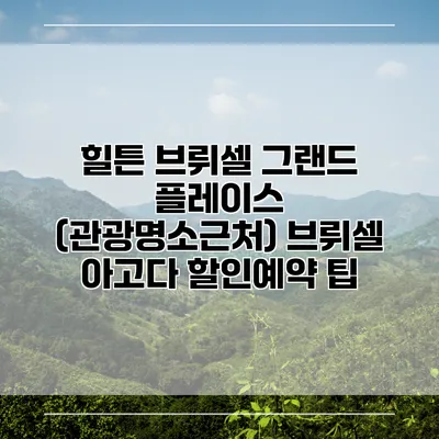 힐튼 브뤼셀 그랜드 플레이스 (관광명소근처) 브뤼셀 아고다 할인예약 팁