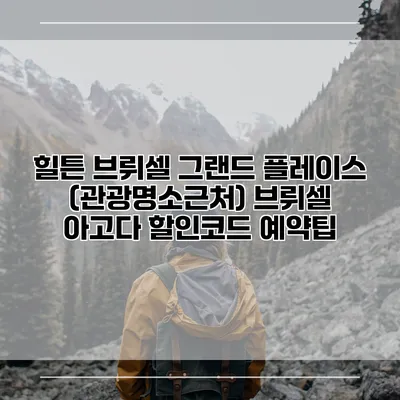힐튼 브뤼셀 그랜드 플레이스 (관광명소근처) 브뤼셀 아고다 할인코드 예약팁