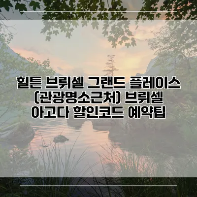 힐튼 브뤼셀 그랜드 플레이스 (관광명소근처) 브뤼셀 아고다 할인코드 예약팁