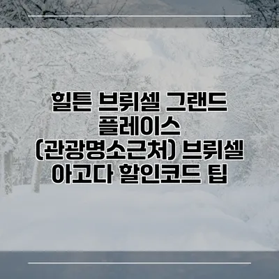 힐튼 브뤼셀 그랜드 플레이스 (관광명소근처) 브뤼셀 아고다 할인코드 팁