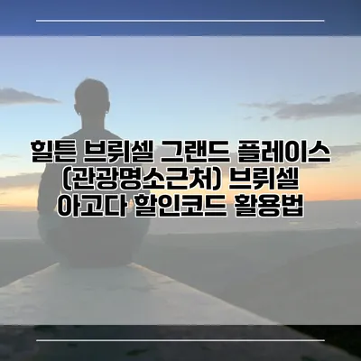힐튼 브뤼셀 그랜드 플레이스 (관광명소근처) 브뤼셀 아고다 할인코드 활용법