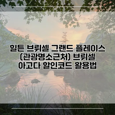 힐튼 브뤼셀 그랜드 플레이스 (관광명소근처) 브뤼셀 아고다 할인코드 활용법