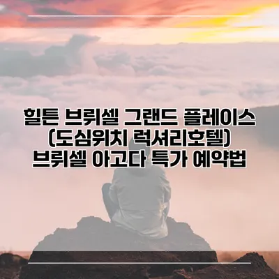 힐튼 브뤼셀 그랜드 플레이스 (도심위치 럭셔리호텔) 브뤼셀 아고다 특가 예약법