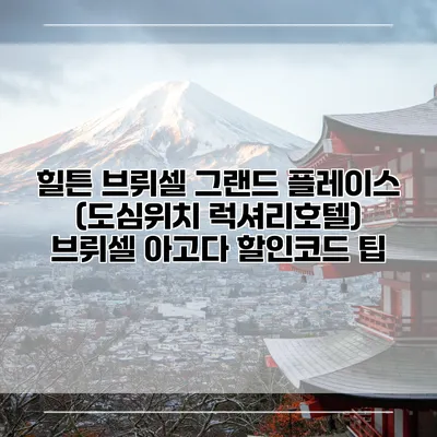 힐튼 브뤼셀 그랜드 플레이스 (도심위치 럭셔리호텔) 브뤼셀 아고다 할인코드 팁