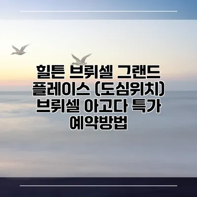 힐튼 브뤼셀 그랜드 플레이스 (도심위치) 브뤼셀 아고다 특가 예약방법