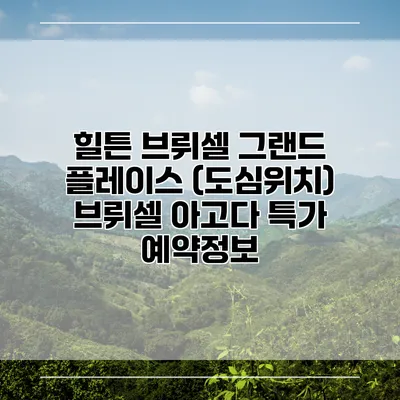 힐튼 브뤼셀 그랜드 플레이스 (도심위치) 브뤼셀 아고다 특가 예약정보