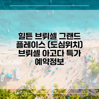 힐튼 브뤼셀 그랜드 플레이스 (도심위치) 브뤼셀 아고다 특가 예약정보