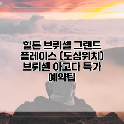 힐튼 브뤼셀 그랜드 플레이스 (도심위치) 브뤼셀 아고다 특가 예약팁