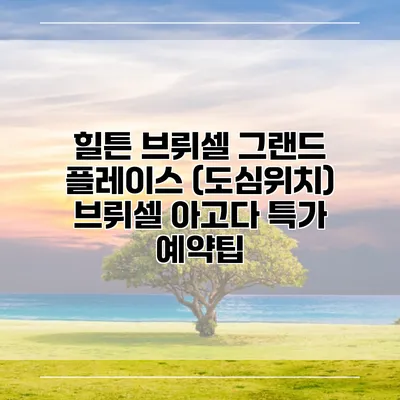 힐튼 브뤼셀 그랜드 플레이스 (도심위치) 브뤼셀 아고다 특가 예약팁