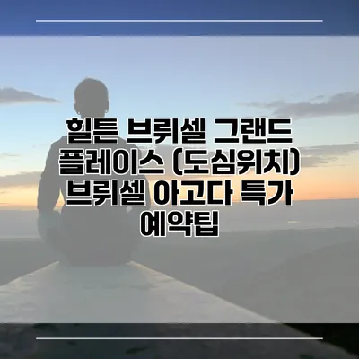 힐튼 브뤼셀 그랜드 플레이스 (도심위치) 브뤼셀 아고다 특가 예약팁