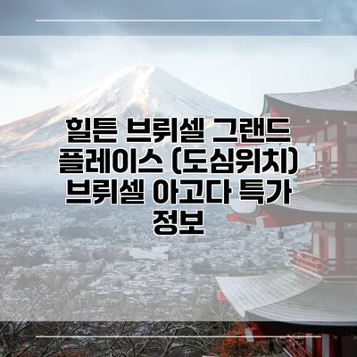 힐튼 브뤼셀 그랜드 플레이스 (도심위치) 브뤼셀 아고다 특가 정보