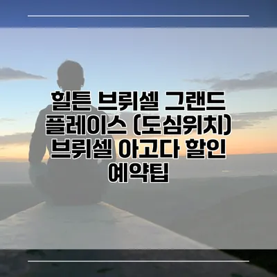 힐튼 브뤼셀 그랜드 플레이스 (도심위치) 브뤼셀 아고다 할인 예약팁