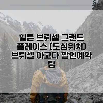 힐튼 브뤼셀 그랜드 플레이스 (도심위치) 브뤼셀 아고다 할인예약 팁