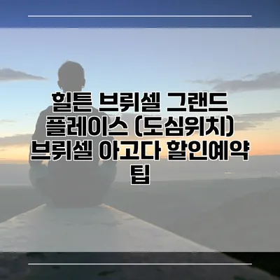 힐튼 브뤼셀 그랜드 플레이스 (도심위치) 브뤼셀 아고다 할인예약 팁