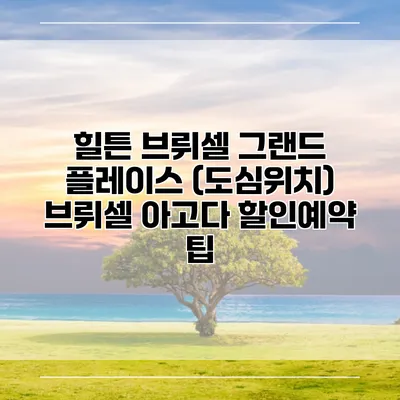 힐튼 브뤼셀 그랜드 플레이스 (도심위치) 브뤼셀 아고다 할인예약 팁