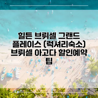 힐튼 브뤼셀 그랜드 플레이스 (럭셔리숙소) 브뤼셀 아고다 할인예약 팁