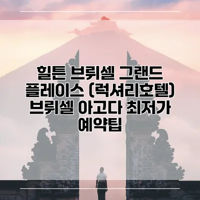 힐튼 브뤼셀 그랜드 플레이스 (럭셔리호텔) 브뤼셀 아고다 최저가 예약팁