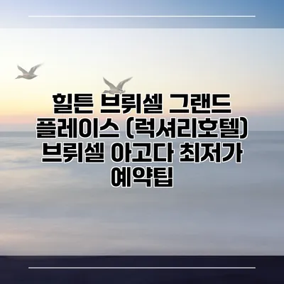 힐튼 브뤼셀 그랜드 플레이스 (럭셔리호텔) 브뤼셀 아고다 최저가 예약팁