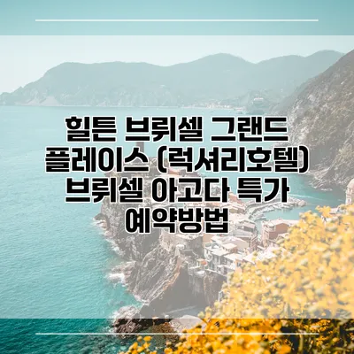 힐튼 브뤼셀 그랜드 플레이스 (럭셔리호텔) 브뤼셀 아고다 특가 예약방법