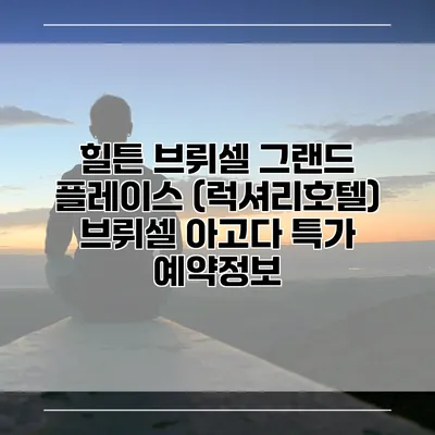 힐튼 브뤼셀 그랜드 플레이스 (럭셔리호텔) 브뤼셀 아고다 특가 예약정보