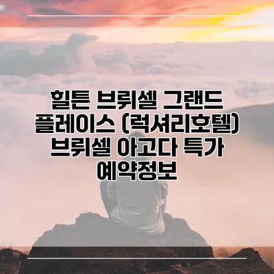 힐튼 브뤼셀 그랜드 플레이스 (럭셔리호텔) 브뤼셀 아고다 특가 예약정보