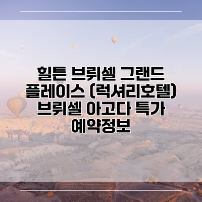 힐튼 브뤼셀 그랜드 플레이스 (럭셔리호텔) 브뤼셀 아고다 특가 예약정보