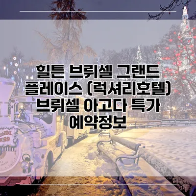 힐튼 브뤼셀 그랜드 플레이스 (럭셔리호텔) 브뤼셀 아고다 특가 예약정보
