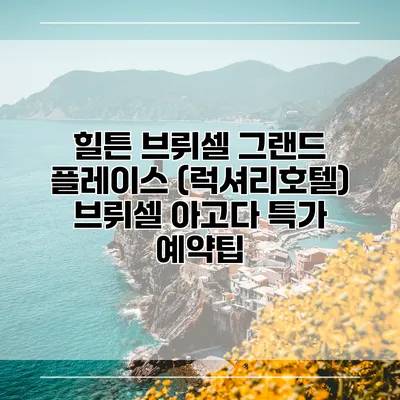 힐튼 브뤼셀 그랜드 플레이스 (럭셔리호텔) 브뤼셀 아고다 특가 예약팁