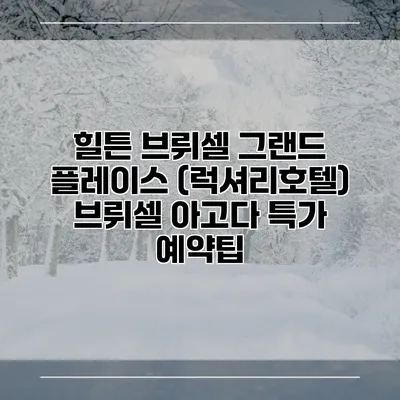 힐튼 브뤼셀 그랜드 플레이스 (럭셔리호텔) 브뤼셀 아고다 특가 예약팁