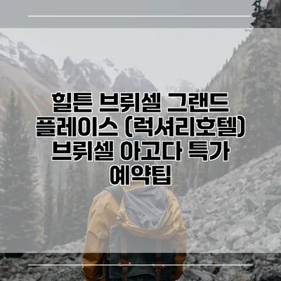 힐튼 브뤼셀 그랜드 플레이스 (럭셔리호텔) 브뤼셀 아고다 특가 예약팁