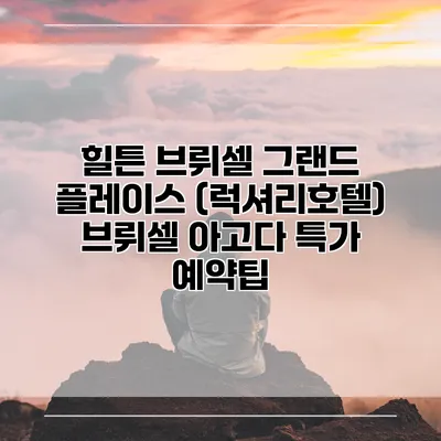 힐튼 브뤼셀 그랜드 플레이스 (럭셔리호텔) 브뤼셀 아고다 특가 예약팁