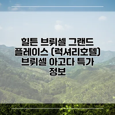 힐튼 브뤼셀 그랜드 플레이스 (럭셔리호텔) 브뤼셀 아고다 특가 정보