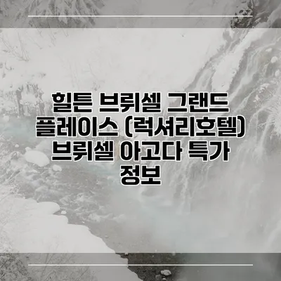 힐튼 브뤼셀 그랜드 플레이스 (럭셔리호텔) 브뤼셀 아고다 특가 정보