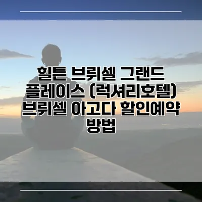 힐튼 브뤼셀 그랜드 플레이스 (럭셔리호텔) 브뤼셀 아고다 할인예약 방법