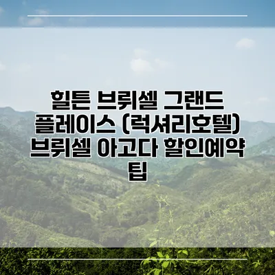 힐튼 브뤼셀 그랜드 플레이스 (럭셔리호텔) 브뤼셀 아고다 할인예약 팁