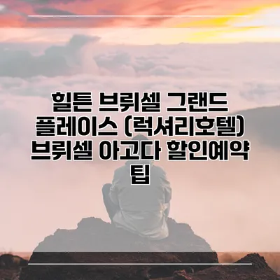 힐튼 브뤼셀 그랜드 플레이스 (럭셔리호텔) 브뤼셀 아고다 할인예약 팁