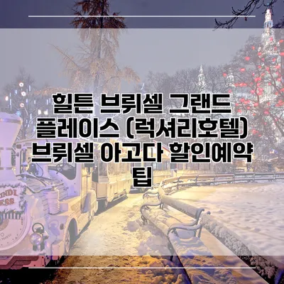 힐튼 브뤼셀 그랜드 플레이스 (럭셔리호텔) 브뤼셀 아고다 할인예약 팁