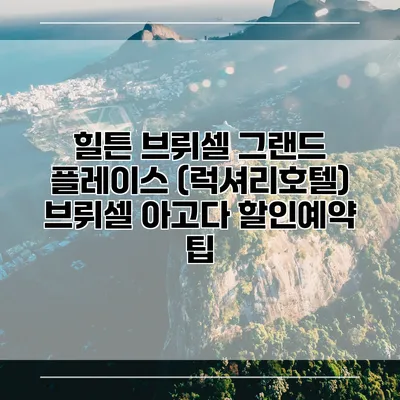 힐튼 브뤼셀 그랜드 플레이스 (럭셔리호텔) 브뤼셀 아고다 할인예약 팁
