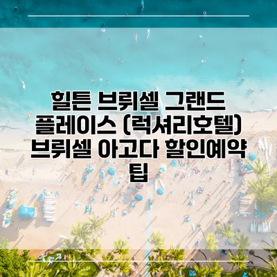 힐튼 브뤼셀 그랜드 플레이스 (럭셔리호텔) 브뤼셀 아고다 할인예약 팁